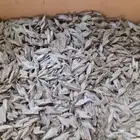 العود الطيب عروض خاصه