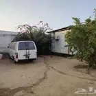 باص 14 راكب تويوتا موديل 1984م