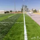 العشب الصناعي للملاعب والحدائق والارضيات المطاطية