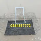 شبوك جلب الطيور سيم قوي