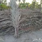 سعف للمخيمات