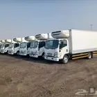 دينات ايسوزو موديل 2023 للايجار السنوى