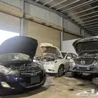 مكينة سنتافي سوناتا النترا سورينتو كرنفال