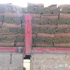 ثيل طبيعي نجيله
