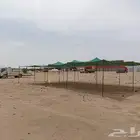 ظلال غنم شبك ظل اصلي ظلال حلال