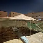 سيارة حلال خيمه موقف او حلال