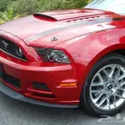 لحيه موستنج