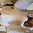 كامل ديك رمي رقم الاعلان 26 06 2024