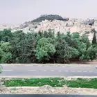 توصيل من الاحساء إلى الرياض