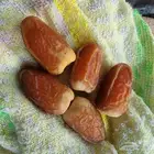 مقاول صرام جداد النخيل النخل...