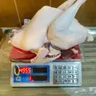 ديك رومي ذبح طازج