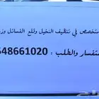سعودي متخصص في تنظيف النخيل وزراعتها