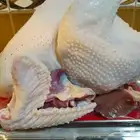 ديك رومي ذبح طازج