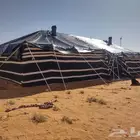 جميع مستلزمات المخيمات بيوت شعر ابيض حمامات فيبر غرف خشب