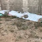 حديد بناء لبيع بعضه فيه صدا