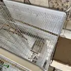 للبيع اقفاص كبيره وصغيره مستخدم نظيف