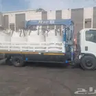 دينا ونش