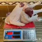 ديك رومي ذبح طازج عند الطلب
