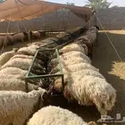 موقعنا مكة الرياض الباحة تبوك الخرج