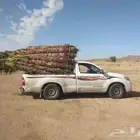 نخل للبيع عربي واشنطني لزينه