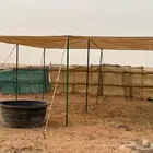 مضلة مضلات أغنام أبل مستودع