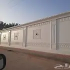 بديل الحجر