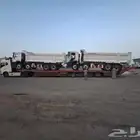 لوبد متواجد في تبوك