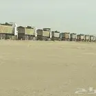 بحص رمل ابيض واحمر
