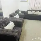 كنب
