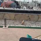 مقاول تلبيس بالحجرالطبيعي