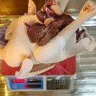 ديك رومي ذبح طازج