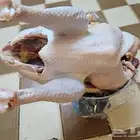 ديك رومي ذبح طازج