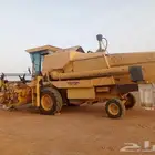 حصاده قمح
