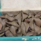 مروكي آرياني محسن ب سعر التكلفه