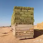 طبرجل الجوف