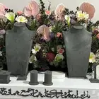 استاند ملكه