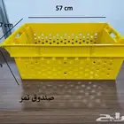 750 سلة تمر بلاستك