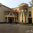 حجر وجه الريادة الطبيعي
