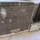 النسيم الغربي