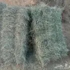 السلام عليكم ورحمة الله وبركاته مساءك الله بالخير اليوم عندي