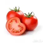 بذور طماطم ب 10 ريال