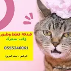 فندقة قطط وطيور 6061 24 0555 وقت انشغالكم وسفركم