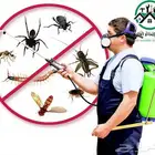 مكافحة حشرات رش مبيدات   50 ريال