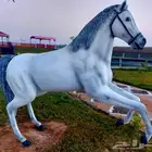 جميع المجسمات الجمالية للحدائق العامه