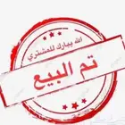 انثى روز البينو وبال فالو ( تم البيع )
