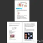 بحوث جامعية ومدرسية