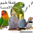 فندقة طيور VIP العرض الاقوى تبدا من 2 ريال يوجد حضانة فروخ
