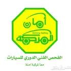 فحص دوري