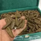 عود بخور ربع الكيلو 250 ريال