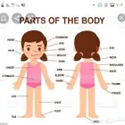 كورس لغه انجليزيه الدار البيضاء او اون لاين
